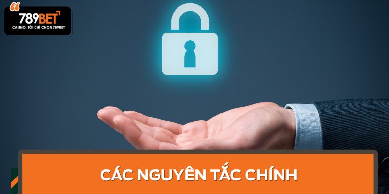 Các nguyên tắc chính trong chính sách bảo mật